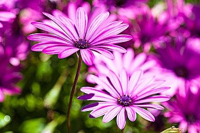 《僵尸世界大战：劫后余生》新DLC上线 追加新地图任务